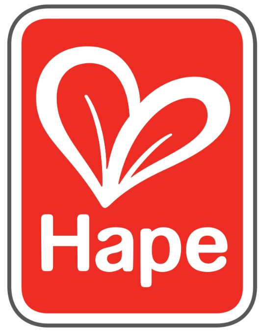 Brand: Hape